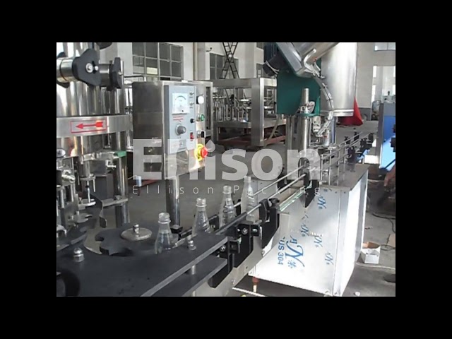 China 370ML Glass Bottle Carbonated Drink Filling Machine , Beer Bottle Capping Machine for sale